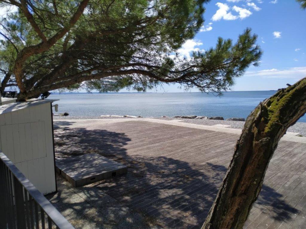 Casa Lenka Hotel Malchina Екстериор снимка